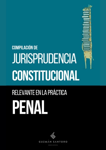 Compilación de Jurisprudencia Constitucional relevante en materia penal