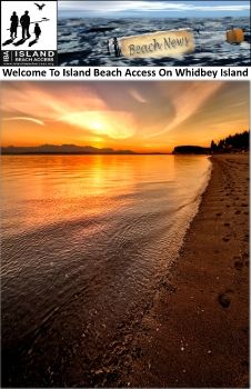 Island Beach Access e-magazine