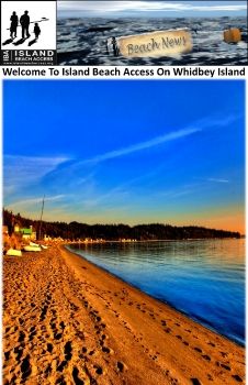 Island Beach Access e-magazine