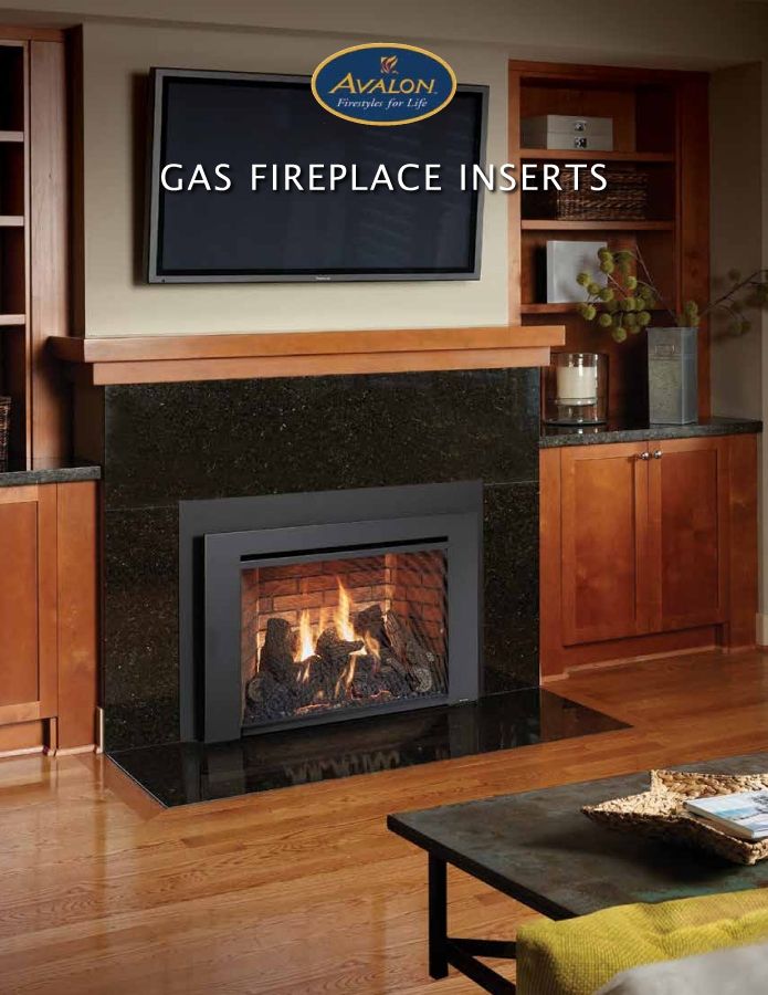 rfp gas fire place inserts_Neat