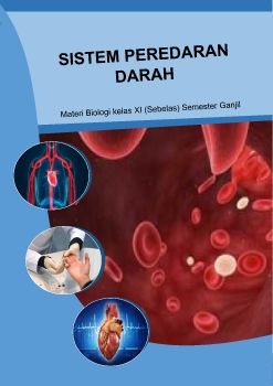 Sistem Peredaran Darah Manusia