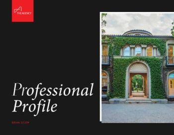 Professional Profile - 2021 