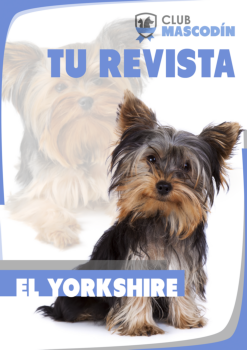 Revista: El Yorkshire