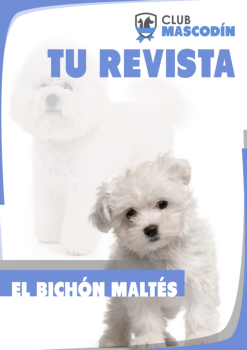 Revista: El bichón 