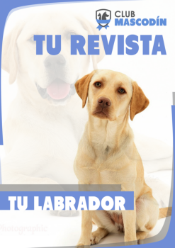 Revista: El labrador