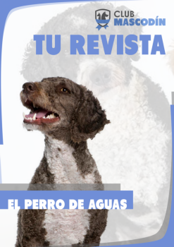 Revista: El perro de Aguas