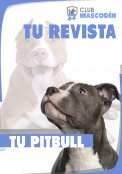 Revista: El Pitbull