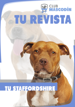 Revista: Staffordshire