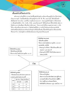 เชื้อเพลิงในชีวิตประจำวัน