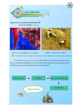 การสำรวจปิโตรเลียม