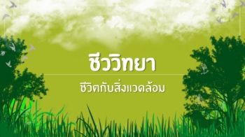 609ชีวิตกับสิ่งแวดล้อมกลุ่ม2 