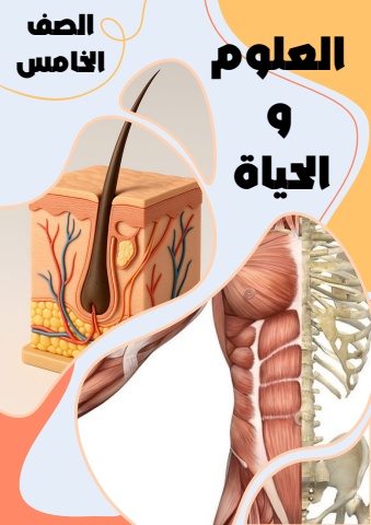 الدس الثالث