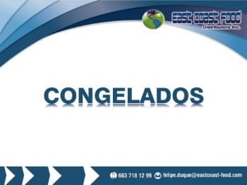 Catalogo Congelados