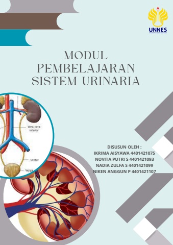 Modul