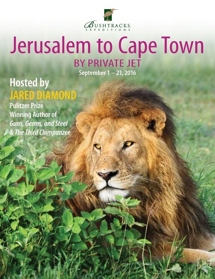 Jerusalem to Cape Town by Private Jet 2016