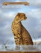 Namibia's Desert & Cheetah Safari