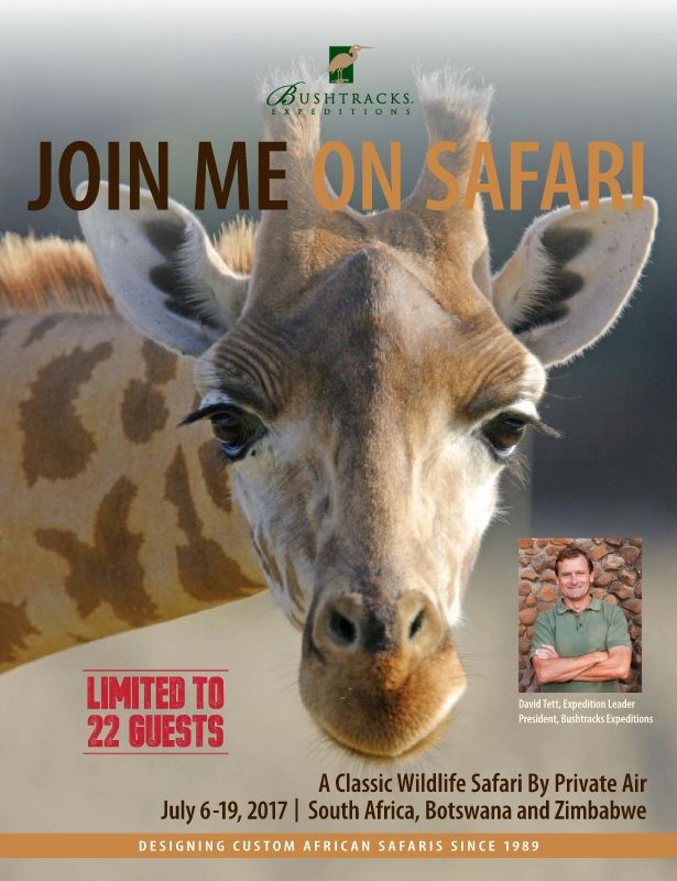 Come Join Me on Safari 2017