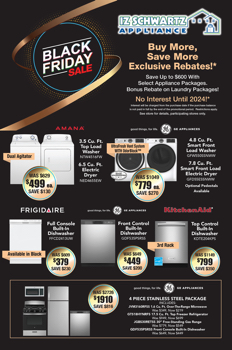 IZ Schwartz_Black Friday -Mailer