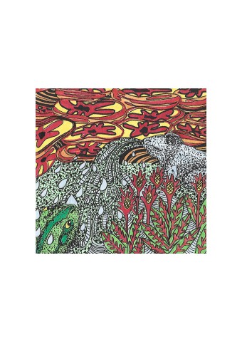 grenouille 1 150dpi (2)