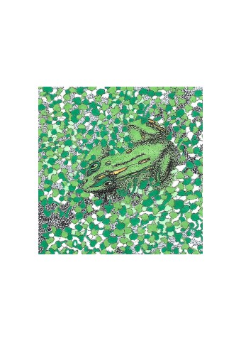 grenouille _2 150dpi (2)