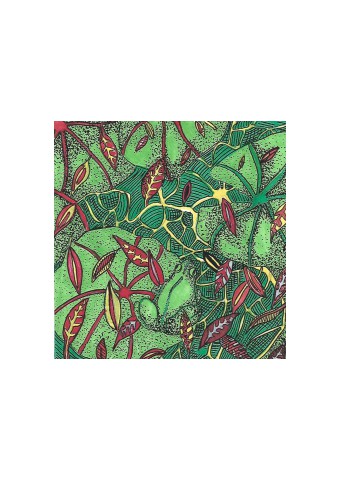 grenouille 10 150dpi