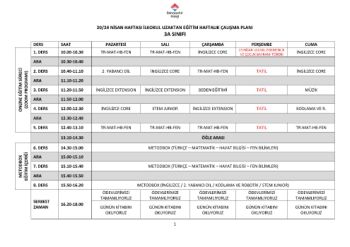 3A 20-24 NİSAN HAFTALIK ÇALIŞMA PLANI