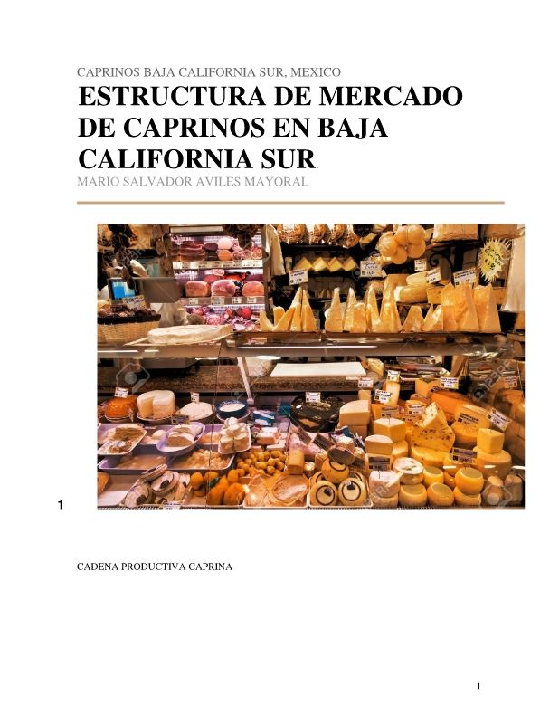 ESTRUCTURA DE MERCADOS CAPRINO BCS_Neat