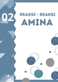 E MODULE REAKSI AMINA