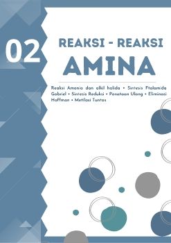 E-MODULE REAKSI REAKSI AMINA