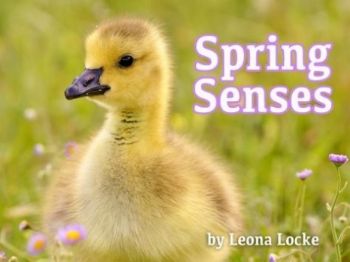 125. SPRING SENSES L2 - Annie Le