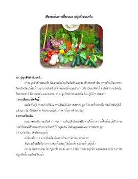 ผักสวนครัวพอเพียง