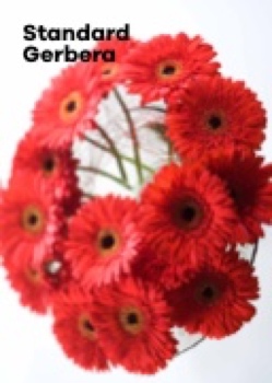 florist catalogus 2019
