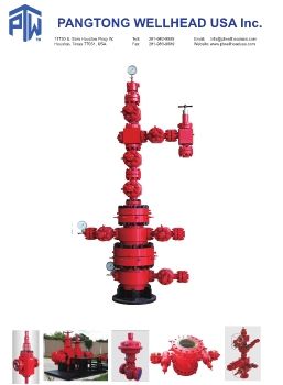 PangTong Wellhead USA 2019