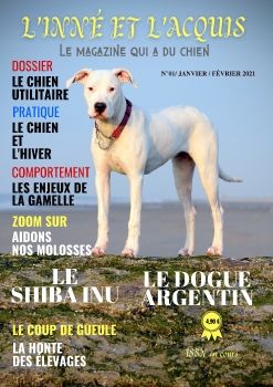 l'inné et l'acquis, le magazine qui a du chien N°1 janv_fev 2021