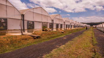 COMPREHENSIVE_SITE_ASSESSMENT_REPORT_IMAGES_FOR_VOLUME_03