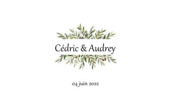 Mariage de Cédric et Audrey