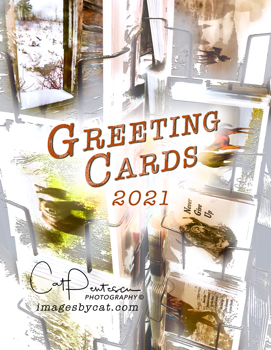 2021 Greeting Note Card Catalog Cat Pentescu Photography
