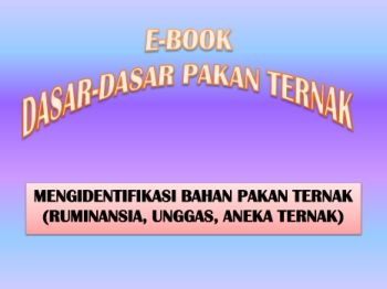 E-BOOK 2_Dsr2 Pkn Ternk