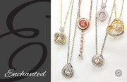 Enchanted Introductory Catalog