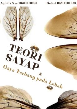 teori terbang
