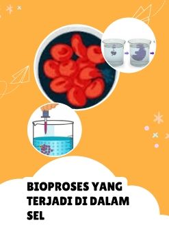 PROSES-PROSES YANG TERJADI DI DALAM SEL