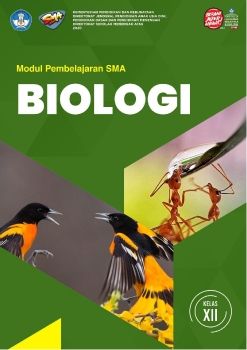 BS-PERTUMBUHAN DAN PERKEMBANGAN