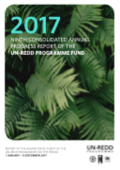 Demo - UN REDD 9TH Consolidated Annual Report
