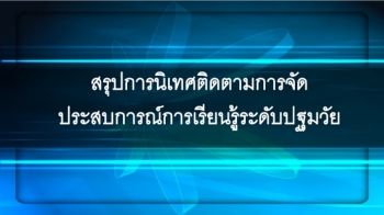 งานนำเสนอ PowerPoint