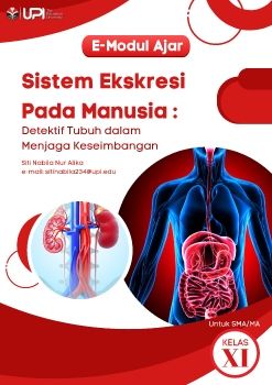 Sistem Ekskresi pada Manusia untuk SMA/MA kelas XI