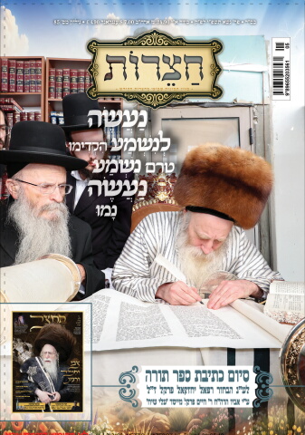 213188_netto_hazerot