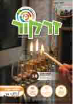 208382_GIL_ZARKOR_13