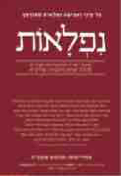 202257_OHAVIM_AVITA_353