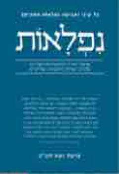 147128_AVITA_SHAVOOT