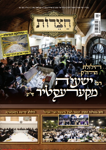 212504_neto_hazerot_82